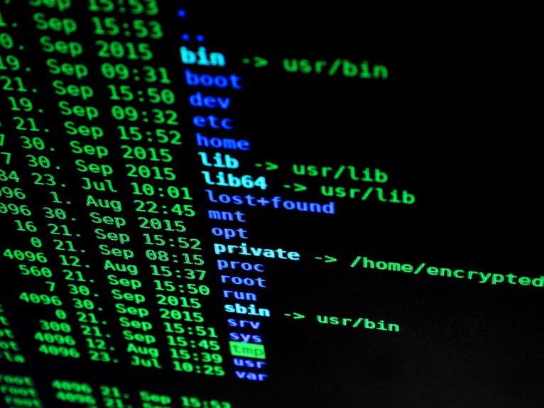 sbi cont directory input